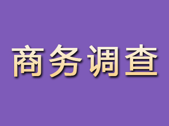 西宁商务调查